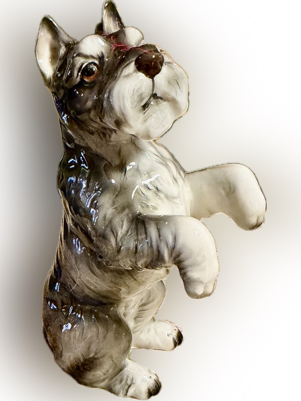 Vintage Notcrest Hand Painted BEGGING SCHNAUZER Dog A721, Japan